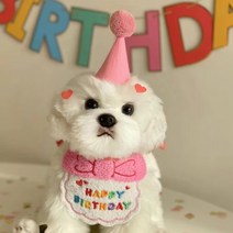 어른이랜드 반려동물 생일 파티 턱받침 + 고깔모자, 핑크