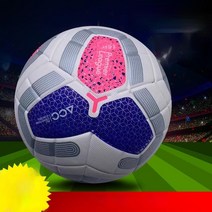 EAGLE PEAK (17종)유럽챔피언스리그 5호공 주니어 축구공 풋살, T14-프리미어리그 핑크