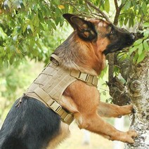 도매창고 군용 전술조끼 하네스 대형견 가슴줄 강아지 훈련가슴줄, 밀리터리