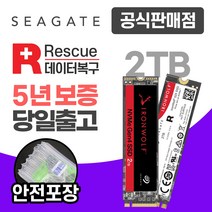 씨게이트 아이언울프525 NAS M.2 NVMe SSD, ZP2000NM3A002 2TB