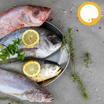 제수용생선세트 부세 민어조기 도미(참돔) 적어(장문볼락) 명절 제사손질생선, 명절세트