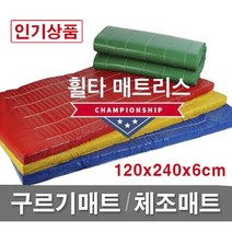 빅세일 [휠타매트리스] 120x240x6cm 구르기매트 체조매트 학교체육 유아체육 체육관매트 낙법 착지매트, 빨강(Red), 깔끔형