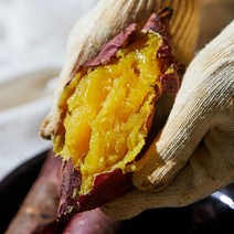 해남 무농약 세척 꿀고구마 베니하루카 황토 고구마 베로니카 황금 고구마 3kg 5kg 10kg, 특상