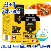 식약처 식약청 인정 인증 캐나다 아연 프로 플로 폴리 폴라 포 폴리스 포리스 항산화 면역력 캡슐 좋은 음식 식품 프라 플라 보노이드 바이오 면연력 남성 여성 여자 중년 40대, 3+1 24개월분 - 다니마켓