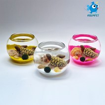마리모 키우기 유리원형볼 8cm A형 DIY키트 세트 테라리움, 핑크