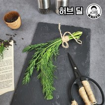 [농사임당] 식용허브 허브티 요리용 허브딜 생잎 50g/100g, 50g, 1개
