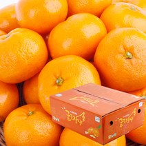 농협공판장 정성드린 귤로장생 프리미엄 노지감귤 5kg(L-2L/37-46과내)