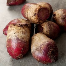 제주 레드비트 3kg, 단품
