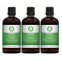 키위허브(KIWIHERB) 키위허브 허벌 체스트 시럽 100mlX 3개, 300ml, 1세트