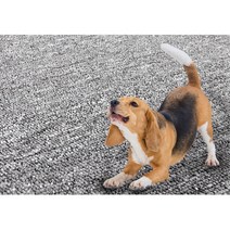 1장 거실 베란다 셀프시공 타일 카페트 데코용타일 카펫트타일 바닥카페트 타일카페트 데코매트, 멜란지블루 1장