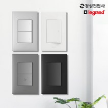 르그랑 아펠라 전기 전등 조명 인테리어 스위치 콘센트 커버 화이트 실버 마그네슘 블랙, 38.스피커잭 2구