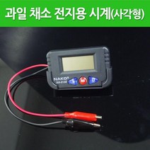교과서실험 과일채소 디지털시계 DIY 과일전지 아이들교육