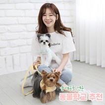 리토가토 러비 커스텀 캐릭터 강아지 하네스 옐로우 (컴퓨터 자수) 동물학교 추천, 블루