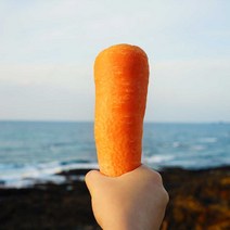 제주 구좌 세척 당근 주스용 못난이 미니 꼬마 즙 특 왕 3kg 5kg 10kg, [못난이] 혼합용 - 5kg