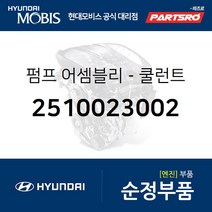 순정 워터펌프 (쿨런트펌프) (2510023002) 티뷰론 아반떼