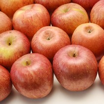 사과먹는소리 최저가로 저렴한 상품 중 판매순위 상위 제품의 가성비 추천