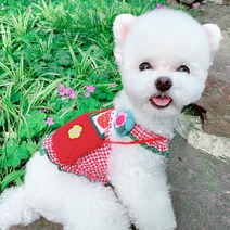 귀여운 작은 배낭 조끼 스커트 애완 동물 고양이 강아지 봄과 가을 얇은 섹션 코기 테디-108790, 옵션02