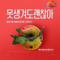 [제천조공] 못난이 하늘뜨레 제천사과 10kg