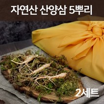 자연산 산양삼 산삼 강원도 산양산삼 뇌두 야생 장뇌삼 산삼주 사포닌 진세노사이드 5년근 6년근 5뿌리 기력회복 부모님 설 추석 명절 선물세트 정품, 단일상품2세트