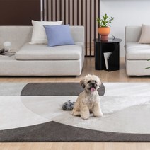[한일카페트] 유럽직수입 커브 거실 카페트 러그 160x230