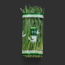 태방샵 공식쇼핑몰C-42 (부추)과일 야채 채소 포장재 필름 봉투 용기 PE OPP PET, 1개
