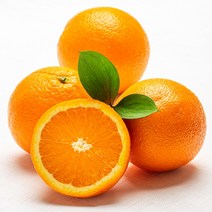 환타 오렌지 트레이더스 300ml x 24입, 단품, 단품