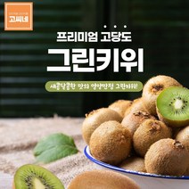 고씨네 프리미엄 그린키위5kg 키위가격 키위 키위주스, 본상품, 쿠팡 본상품선택