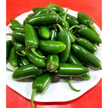 할라피뇨고추 10kg 1박스생할라피뇨 피클용 퍼팩트 장아찌용 할라피뇨 피클 고추피클, 1개