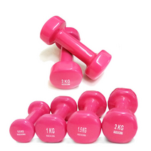 프로모릭스 PVC 미용아령 2개세트 0.5~2KG, PVC 미용아령 2Kg (1Kg x 2)
