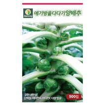 크라운레드 양배추 100립 레드양배추씨앗 양배추씨 채소씨 채소씨앗 야채씨 야채씨앗, 19_다농_애기방울다다기 양배추(500립)
