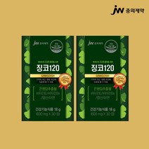 JW중외제약 징코120 기억력 및 혈행 개선에 도움을 줄 수 있음 식약청 식약처 인증 은행잎추출물 비타민E 비타민B6 영양제, 2개