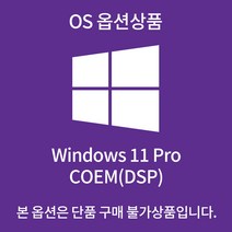 Windows 11 Pro 설치 발송 - 옵션상품