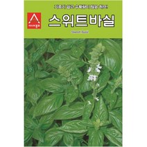 [모종심는아빠] 기르기 쉽고 수확량이 많은 허브 스위트바실 씨앗 3g