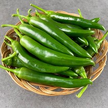 빛고을장터 국내산 오이맛고추 10kg 5kg 2kg 1kg내외 오이고추, 1BOX, 오이고추 (특) 2kg내외