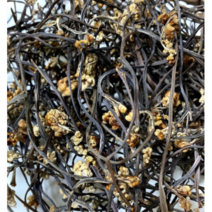 건강한밥상 건고사리10kg(식자재용) 중국산, 1개