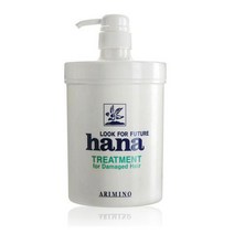 [일진] 아리미노 하나 트리트먼트 1000ml, 일진 하나 트리트먼트 1000ml 아, 1개