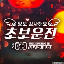OTV289213자동차스티커 양보감사해요 초보운전 블랙박스 화이트