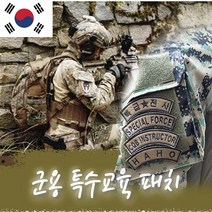 국산 특수 교육 군용 군인 특전사 육군 DIY 제작 패치, 15[커스텀], 육군[A]