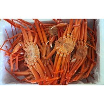 포항 홍게 수율보장 구룡포 당일조업, 프리미엄홍게 소 10마리 수율80%~