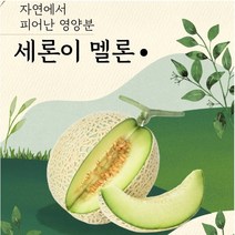 GAP 나주 세지 메론 세론이 멜론 정품 11~13brx, 노랑박스(13브릭스)4수크기 한통 1.25kg내외