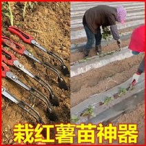 고구마 심기 도구 농기구 묘목기 삽묘기 묘목종 채소 묘목 재배 내구 고추 농사용 땅콩 포크 신기, 세 개예요.