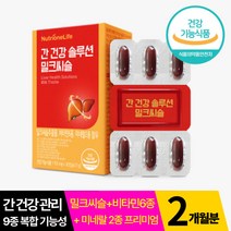뉴트리원 간건강 솔루션 밀크씨슬 30캡슐 정우성 밀크시슬 피로개선 신진대사 활력 에너지 체력 항산화 미네랄 비타민 실리마린 식약처 홈쇼핑 아연 비타민 숙취 연말 애주가 선물, 2박스, 60캡슐, 2개월