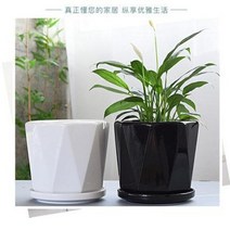 화분 화분 도자기 화이트 심플 북유럽 스타일 라지 팔레트 그린라일라 나비랜드 창의적 다육 화분, 오류 발생시 문의 ( Simplesoso )