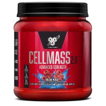 BSN CELLMASS 2.0 Advanced Strength 셀매스 2.0 어드밴스드 스트렝스 1lb 블루라즈향