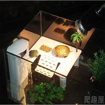수상좌대 민물낚시 자립발판 수족관 물고기 탱크 오르기 사다리 섬 파충류 플랫폼 거북이, l
