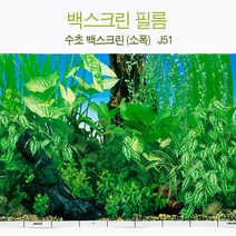 백스크린 필름 [수초(소폭)] J51