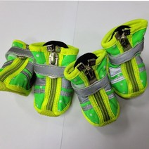 한정판매[도기스쿨] 칼라누비야광 1호 사이즈 가로 3.6cm 세로 4.8cm 몸무게2.5~3.5kg, 연두땡땡이+그레이
