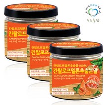 [푸른들판] 20배 농축 칸탈루프 멜론 추출 분말 가루 100% 칸탈로프 과일 파우더 20, 상세 설명 참조, 상세 설명 참조