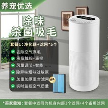 고양이 공기청정기 털 비염 미세먼지 원룸 펫케어, 모발흡입청정기 + 제모 및 악취제거C