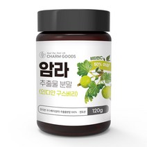 순수 100 % 무첨가 암라 추출물 분말 인디안 구스 베리 가루 비타민c 인도 과일 인디언 배리 Amla Extract Powder 산 쥬스 쉐이크 주스 재료 먹는 법 방법, 1개, 120 g